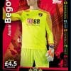 2 - Asmir Begovic AFC Bournemouth 2018 2019
