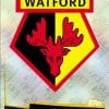 307 - Club Badge Watford 2018 2019