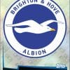 37 - Club Badge Brighton and Hove 2018 2019