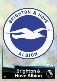 37 - Club Badge Brighton and Hove 2018 2019